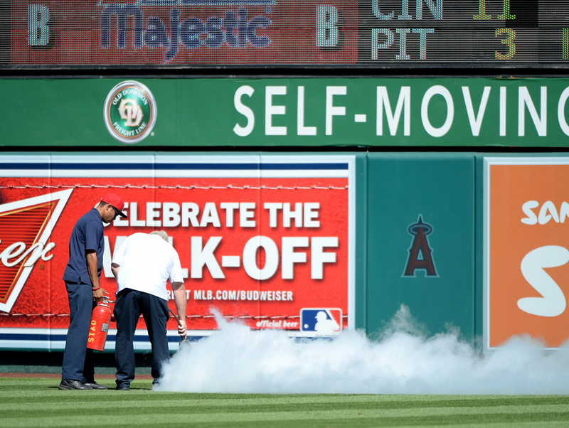 Illustration for article titled Look At All Of These Goddamn Bees At Angel Stadium